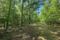 Land for sale in Decatur County, Tennessee