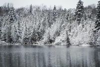 Land for sale in Luce County, Michigan