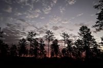 Land for sale in Houston County, Georgia