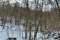 Land for sale in Pocahontas County, West Virginia