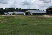 Land for sale in Bladen County, North Carolina