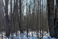 Land for sale in Marathon County, Wisconsin