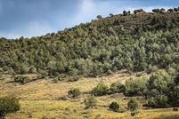 Land for sale in Montezuma County, Colorado