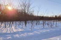 Land for sale in Juneau County, Wisconsin