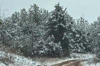 Land for sale in Albemarle County, Virginia