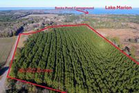 Land for sale in Orangeburg County, South Carolina