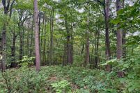 Homesite for sale in Leelanau County, Michigan