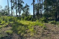 Land for sale in Polk County, Texas