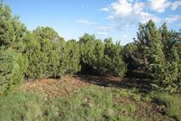Land for sale in Navajo County, Arizona