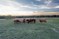 Land for sale in Hunt County, Texas