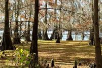 Land for sale in Grant Parish, Louisiana