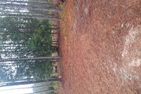 Land for sale in Taylor County, Florida