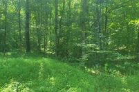 Land for sale in Stewart County, Tennessee