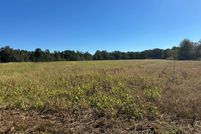 Land for sale in Worth County, Georgia
