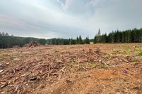 Land for sale in Lewis County, Washington