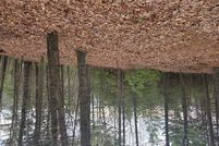 Land for sale in Carroll County, Virginia