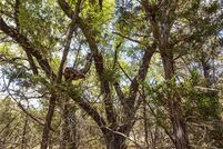 Land for sale in Hays County, Texas