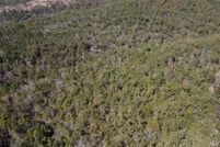 Land for sale in Baxter County, Arkansas