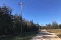 Land for sale in Wilcox County, Georgia