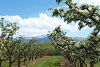 Undeveloped Land for sale in Mesa County, Colorado