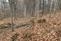 Land for sale in Lawrence County, Ohio