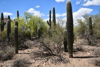 Homesite for sale in Pima County, Arizona