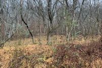 Land for sale in Washington County, Virginia