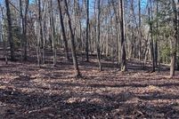 Land for sale in Fannin County, Georgia