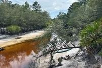 Land for sale in Charlton County, Georgia