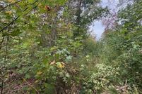 Land for sale in Pickens County, Georgia