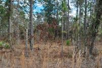 Land for sale in Levy County, Florida
