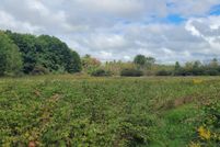 Land for sale in Mason County, Michigan