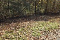 Undeveloped Land for sale in Sevier County, Tennessee