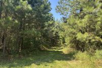 Land for sale in Elmore County, Alabama