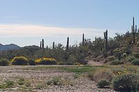 Land for sale in Pinal County, Arizona