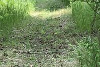 Homesite for sale in Mecosta County, Michigan