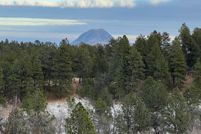 Land for sale in Lawrence County, South Dakota