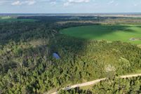 Land for sale in Jeff Davis County, Georgia