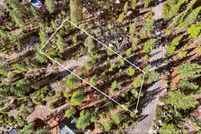 Land for sale in El Dorado County, California