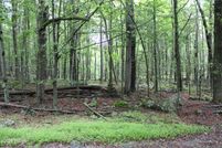 Homesite for sale in Pike County, Pennsylvania