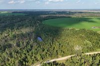 Land for sale in Jeff Davis County, Georgia