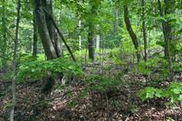 Land for sale in Wayne County, Pennsylvania