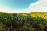 Land for sale in Wayne County, Pennsylvania