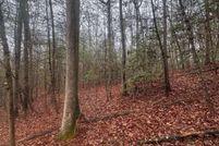 Land for sale in Gilmer County, Georgia