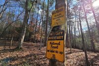 Land for sale in Fannin County, Georgia