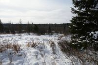 Undeveloped Land for sale in Price County, Wisconsin