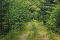 Land for sale in Penobscot County, Maine