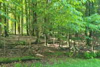 Land for sale in Wayne County, Pennsylvania