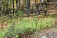 Land for sale in Pike County, Pennsylvania