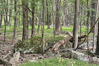 Land for sale in Wayne County, Pennsylvania